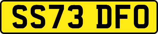 SS73DFO