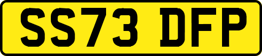 SS73DFP