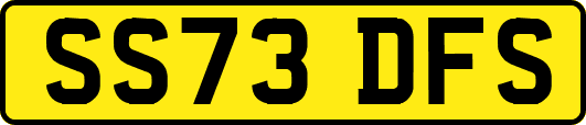 SS73DFS