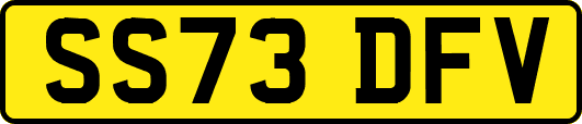 SS73DFV