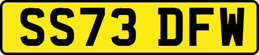 SS73DFW