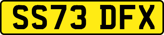 SS73DFX