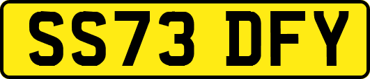 SS73DFY