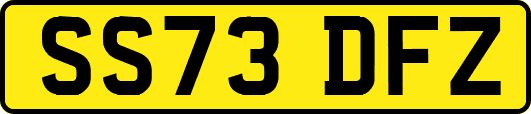 SS73DFZ