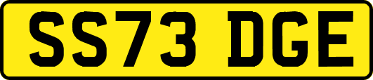 SS73DGE