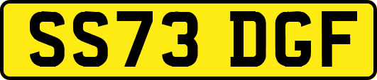 SS73DGF