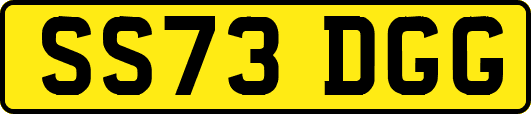 SS73DGG