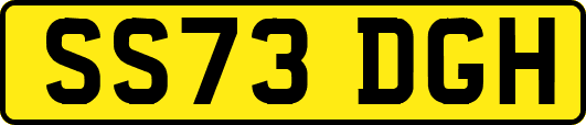 SS73DGH