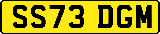 SS73DGM