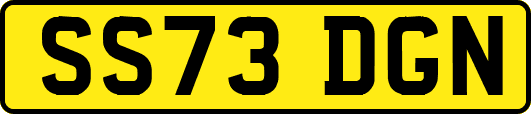 SS73DGN