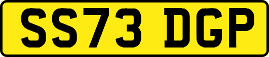SS73DGP