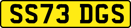 SS73DGS