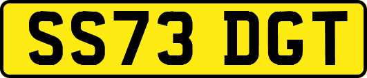 SS73DGT