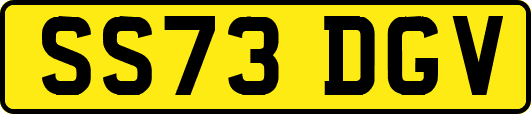 SS73DGV