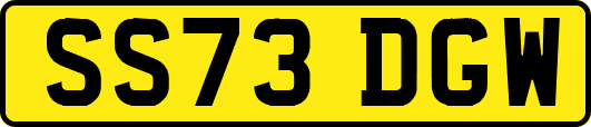 SS73DGW