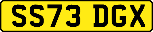SS73DGX