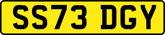 SS73DGY