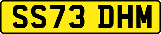 SS73DHM