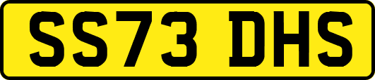 SS73DHS