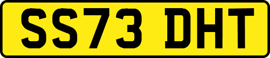 SS73DHT
