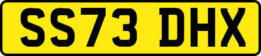 SS73DHX