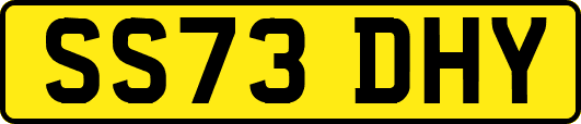 SS73DHY