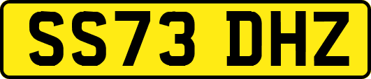 SS73DHZ