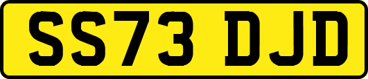 SS73DJD