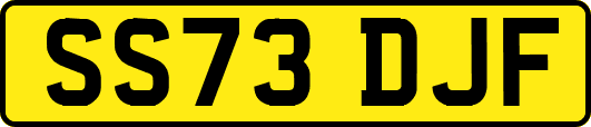 SS73DJF