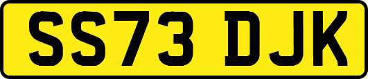 SS73DJK