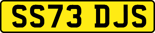 SS73DJS