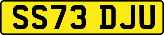 SS73DJU
