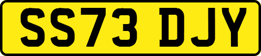 SS73DJY