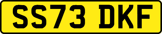 SS73DKF