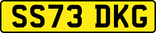 SS73DKG