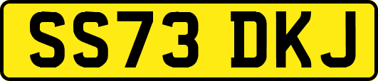 SS73DKJ