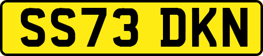 SS73DKN