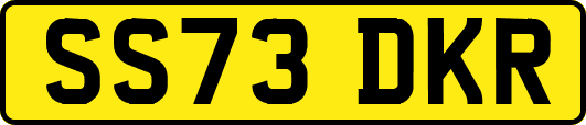 SS73DKR