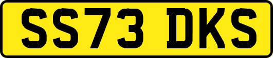 SS73DKS