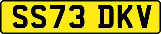 SS73DKV