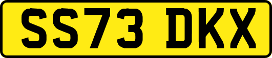 SS73DKX