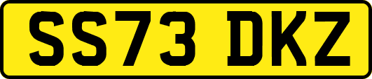 SS73DKZ