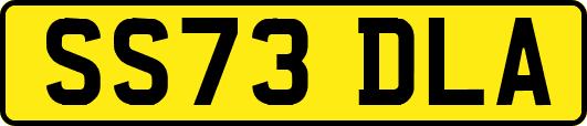 SS73DLA