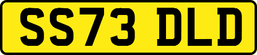 SS73DLD