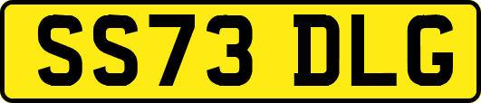 SS73DLG