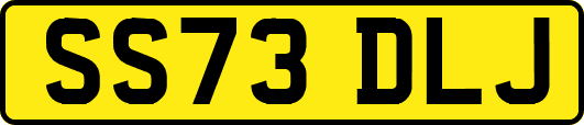 SS73DLJ