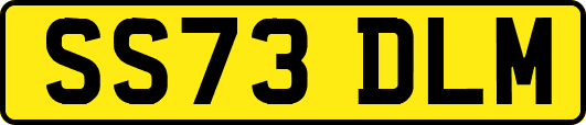 SS73DLM