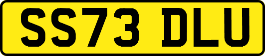 SS73DLU