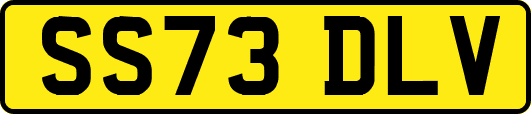 SS73DLV