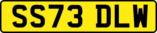 SS73DLW